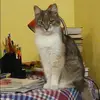 Отзыв от Альбина Озерова
